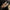 Damen Ballerinas mit modischem Riemchen und klassischem Design WW