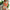 WW | Zeitloses Design Im Vintage-Stil