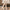 Damen Slingback-Pumps mit komfortablem Blockabsatz und feinem Lederdesign W&W