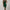 Damen Abendkleid mit asymmetrischem Design und funkelnden Pailletten WW