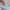 WW | Set Casual in zwei Teilen Hemd und Shorts