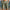 WW | Heren sportshorts met elastische tailleband
