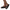 Damen Bequeme und modische Flip-Flops mit Plattform WW