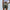 Damen Shorts mit elegantem Bund und modischen Falten WW