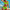 Damen Bikini-Set mit stilvollem Bügel-Design und komfortablem High-Waist-Schnitt WW