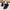 Damen Bequeme und wetterfeste Slip-On Boots mit weichem Innenfutter WW