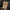 Damen Ballerinas mit dekorativem Riemchen und goldener Applikation W&W