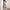 Damen Zweiteiliges Sommeroutfit mit floralem Bustier und schwingendem Rock WW