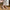Damen Ballerinas mit verstellbarem Riemen WW