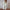 Damen Strickjacke mit strukturierter Zopfstrickoptik und dekorativen Knopfdetails WW