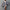 Damen Kimono-Robe mit Leopardenmuster WW