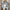 Damen Strickjacke mit floralen Akzenten WW