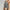 Damen Baumwoll-Shorts mit elastischem Bund und praktischen Taschen WW
