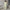 Damen bequemer und eleganter Hoodie mit weiten Hosen WW