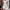Damen A-Linien Kleid mit Spitzenmuster WW