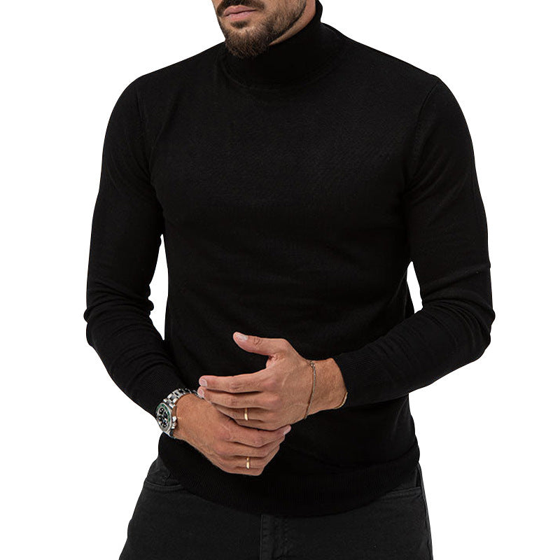 Herren eleganter Rollkragenpullover aus softem Material WW