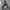 Damen Bequeme und stylische High-Waist Freizeithose WW