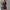 Damen Einteiler Jumpsuit mit lässigem Schnitt und Bindegürtel WW
