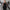 Damen All-in-One Jumpsuit mit tiefem Ausschnitt und figurbetontem Schnitt WW