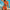 Damen Bikini-Set mit stilvollem Bügel-Design und komfortablem High-Waist-Schnitt WW