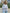 Damen Oversized Sweatshirt mit dropped Shoulder und weichem Fleece-Waren WW