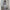 Damen Velours Tracksuit mit Zip-Front und weit geschnittener Hose WW