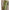 Damen bequeme Strickjacke mit Kapuze und eleganten Details WW