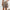 Damen elegante High-Waist Shorts mit Seitentaschen und Knopfdetails WW