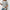 Damen gestreifter Sweatshirt mit Layering-Effekt und Rundhalsausschnitt WW