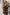 Entspannte und stilvolle Bluse