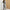 Damen Bequemes und stylisches Lounge-Set mit cropped Jacke WW