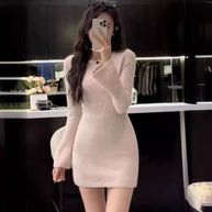 Damen Strickkleid mit figurbetonter Silhouette und stylischem Rollkragen WW