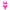 Damen Sportliches Bikini-Set mit Hochbund und Kontrastdetails WW