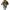 Damen Bequemer Strickpullover mit modischem Rundhalsausschnitt und farblich abgesetzten Details WW