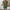 Damen Bluse mit voluminösen Rüschenärmel und eleganter V-Ausschnitt WW