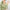 Damen Strickjacke mit floralen Applikationen und strukturiertem Design WW