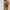 WW | Handgemachte Leder Schultertasche