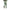 Damen Bequemer Hoodie und Jogginghose-Set mit Kapuze und elastischem Bund WW