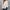 Damen Bluse mit elegantem floralem Lochmuster WW
