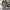 Damen Strickjacke mit grobem Zopfstrickmuster und weitem Schnitt WW