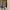 Damen Strickjacke mit Oversized-Schnitten WW