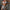 Damen Glitzernder Bauchfreies Top mit Glitzerfransen W&W