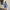 Damen Sportliches Loungewear-Set mit elegantem Sweatshirt und kurzen Shorts WW