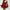 Damen Kurzkleid mit schwingendem Rock und transparenten Ärmeln WW