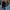 Damen Strickjacke mit floralen Applikationen und perlverzierter Detail WW