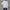 Damen oversized T-Shirt mit weitem Schnitt und moderner Silhouette WW