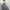 Damen Maxi Rock mit floralem Muster W&W