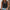 Damen Spitzentop mit raffinierten Details WW