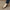 Damen elegante Blockabsatz-Ballerinas aus weichem Leder W&W