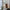 Damen Strickweste mit kontrastierenden Details und Taschen WW